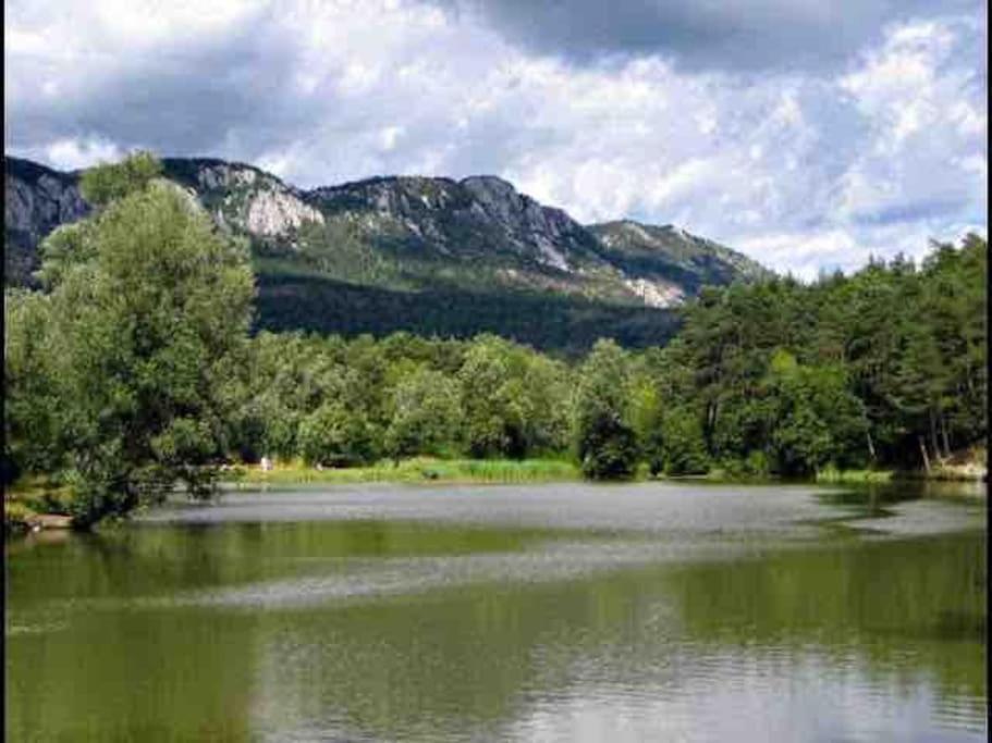 Greolieres: Superbe Avec Vue Montagne Appartement Greolieres